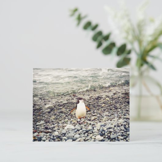 Chinstrap Penguin, briefkaart (Staand voorkant)