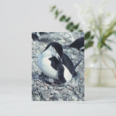 Chinstrap Penguin Briefkaart (Staand voorkant)