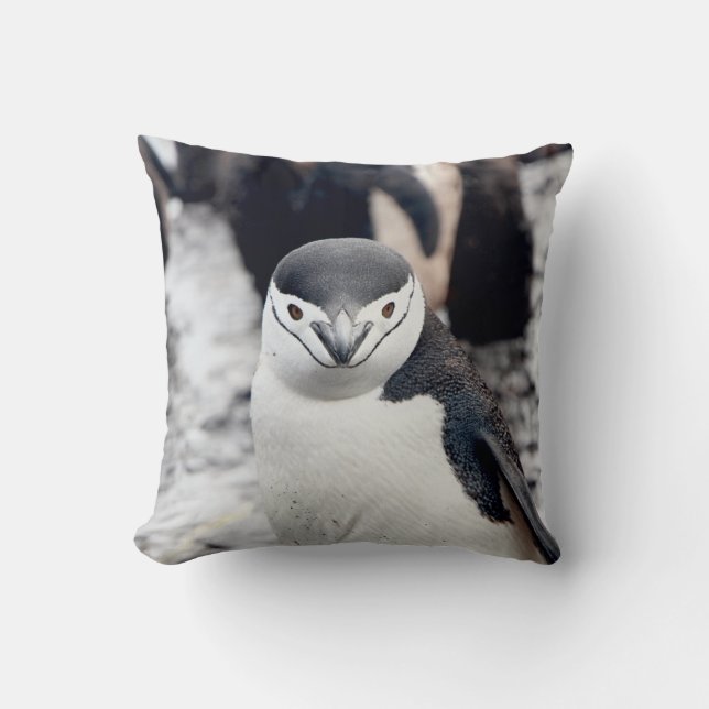 CHINSTRAP PENGUIN KUSSEN (Voorkant)