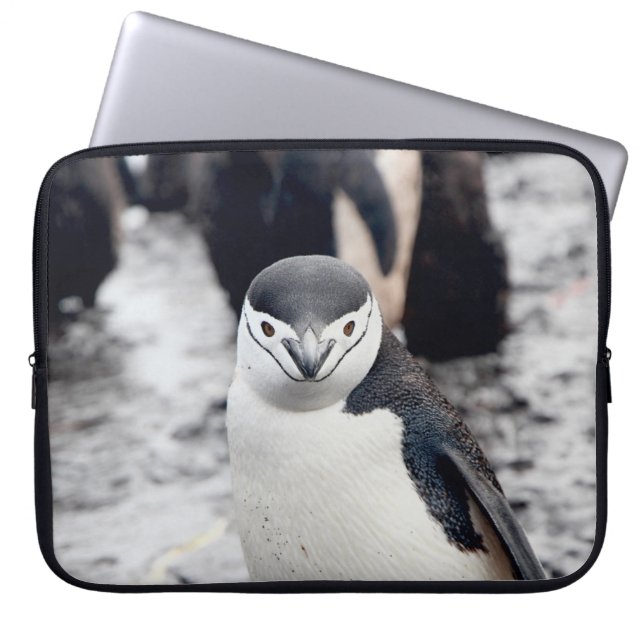 CHINSTRAP PENGUIN LAPTOP SLEEVE (Voorkant)