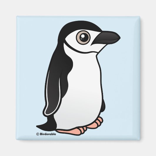 Chinstrap Penguin Magneet (Voorkant)