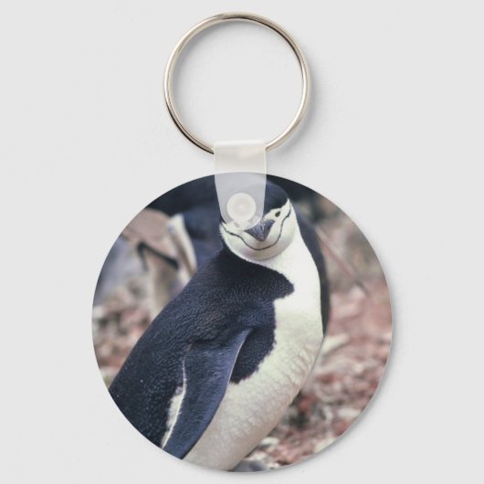Chinstrap Penguin met Baby Sleutelhanger (Voorkant)