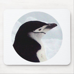 Chinstrap Penguin Portrait Muismat