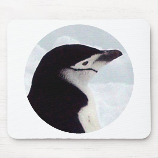 Chinstrap Penguin Portrait Muismat (Voorkant)