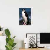 Chinstrap Penguin Poster (Thuiskantoor)