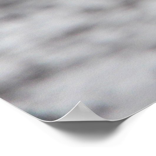 CHINSTRAP PENGUIN POSTER (Hoek)