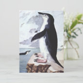  Chinstrap Penguin, vogels uit Antarctica (Staand voorkant)