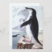  Chinstrap Penguin, vogels uit Antarctica (Voorkant / Achterkant)