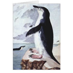 Chinstrap Penguin, vogels uit Antarctica