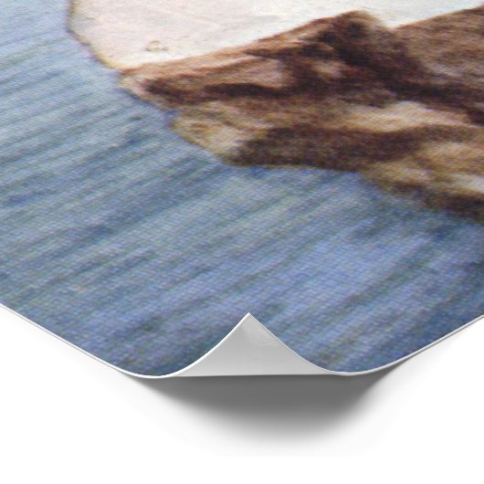 Chinstrap Penguin, vogels uit Antarctica Poster (Hoek)