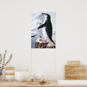 Chinstrap Penguin, vogels uit Antarctica Poster (Keuken)