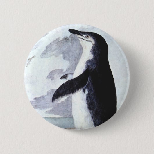 Chinstrap Penguin, vogels uit Antarctica Ronde Button 5,7 Cm (Voorkant)