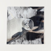 CHINSTRAP PENGUIN WANDKLEED (Voorkant (horizontaal))