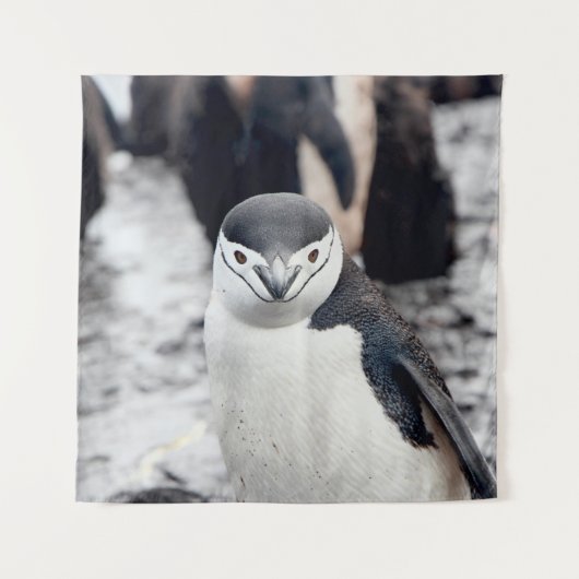 CHINSTRAP PENGUIN WANDKLEED (Voorkant)