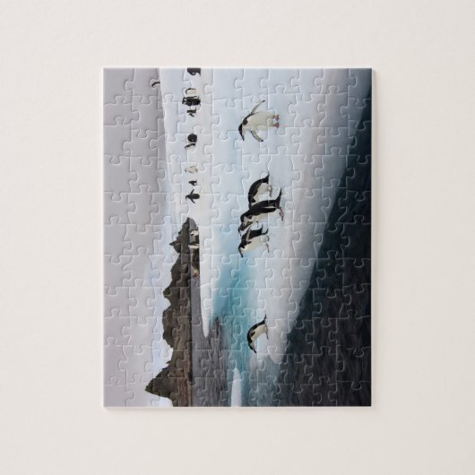 Chinstrap Penguins Legpuzzel (Verticaal)