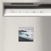 Chinstrap Penguins Magneet (Insitu (Vaatwasser))