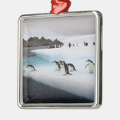 Chinstrap Penguins Metalen Ornament (Links)