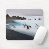 Chinstrap Penguins Muismat (Met muis)