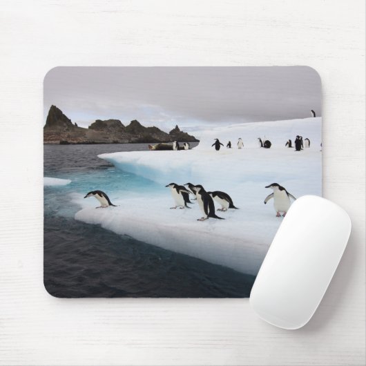 Chinstrap Penguins Muismat (Met muis)