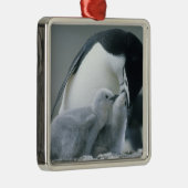 Chinstrap Penguins, Pygoscelis antarctica), Metalen Ornament (Rechts)