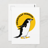 Chinstrap pinguïn briefkaart (Voorkant / Achterkant)