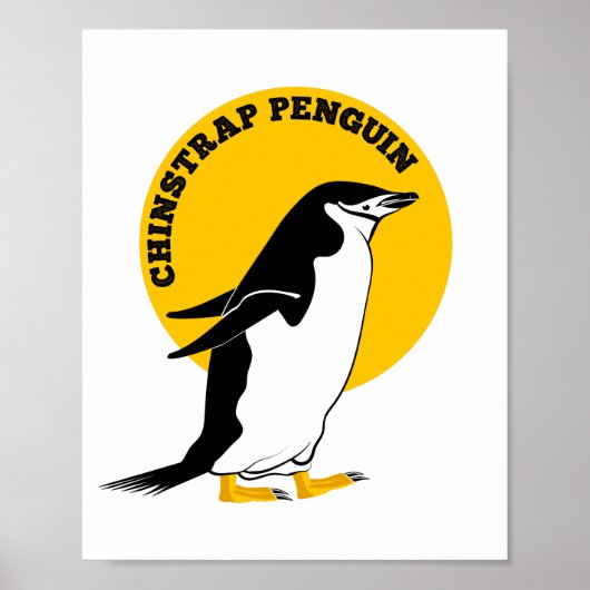 Chinstrap pinguïn poster (Voorkant)