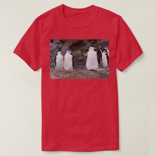 Chinstrap pinguïns Aerobics Workout T-shirt (Design voorkant)