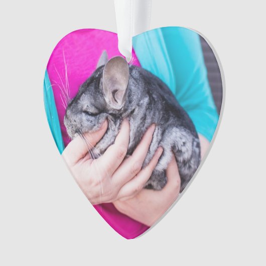 Chinta. Chinchilla Love Ornament (voorkant)