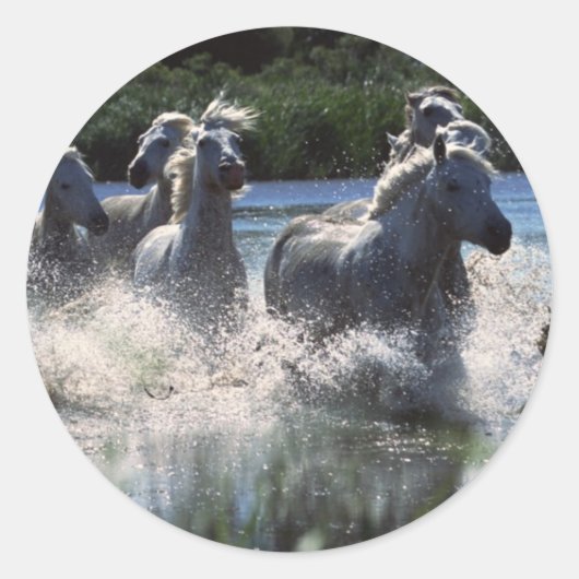 Chintoteague Ponies Crossing Channel Ronde Sticker (Voorkant)