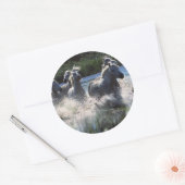 Chintoteague Ponies Crossing Channel Ronde Sticker (Envelop)