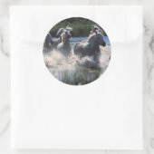 Chintoteague Ponies Crossing Channel Ronde Sticker (Tas)