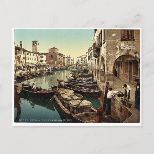 Chioggia, vismarkt, Venetië, Italië  foto Briefkaart (Voorkant)