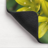 Chionodoxa Mousepad Muismat (Hoek)