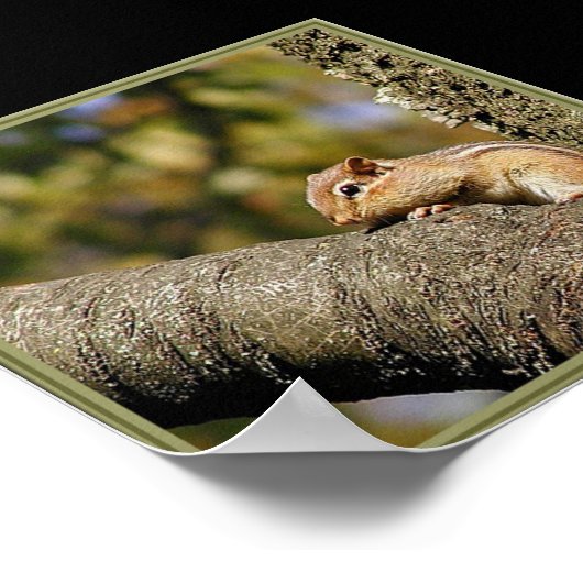 Chip of Dale? Poster (Hoek)