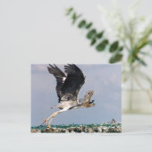 Chipheron Briefkaart (Staand voorkant)