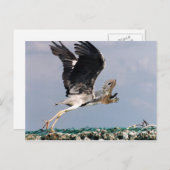 Chipheron Briefkaart (Voorkant / Achterkant)