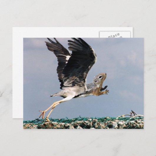 Chipheron Briefkaart (Voorkant / Achterkant)