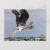 Chipheron Briefkaart (Voorkant)