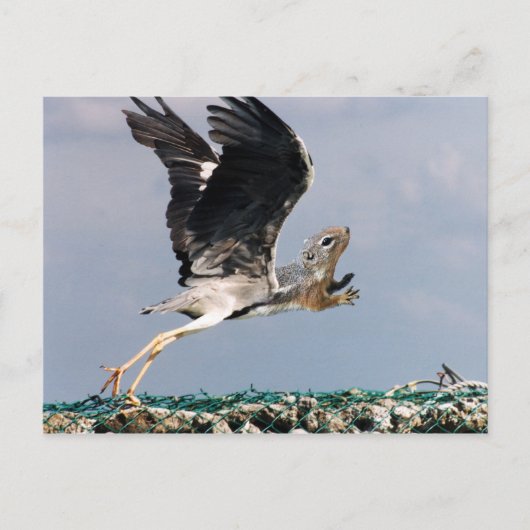 Chipheron Briefkaart (Voorkant)