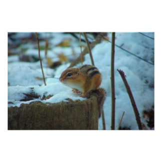 Chipmonk in de sneeuw perfect poster