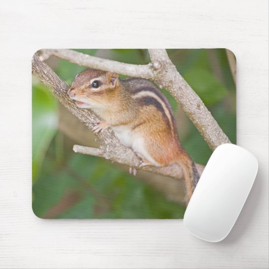 Chipmonk Muismat (Met muis)