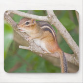 Chipmonk Muismat (Voorkant)
