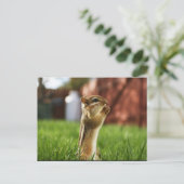 Chipmun Praying Briefkaart (Staand voorkant)