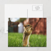 Chipmun Praying Briefkaart (Voorkant / Achterkant)