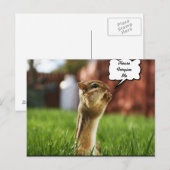 Chipmun Praying Plese ForGeef me Briefkaart (Voorkant / Achterkant)