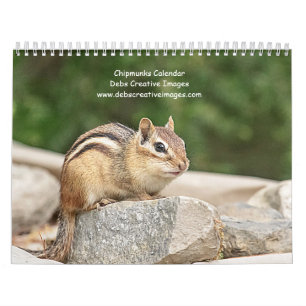 Chipmunk 2025 kalender
