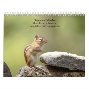 Chipmunk 2025 kalender