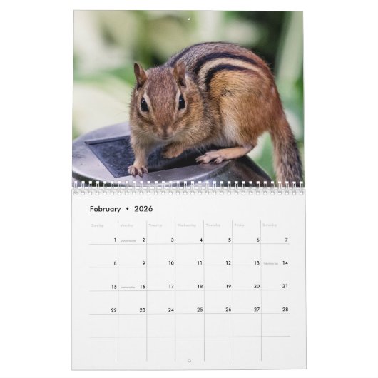 Chipmunk 2026 kalender (Feb 2026)