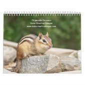Chipmunk 2026 kalender (Hoes)