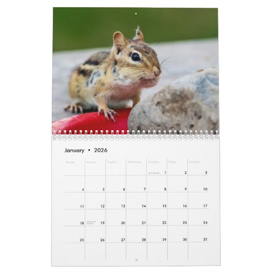 Chipmunk 2026 kalender (Jan 2026)